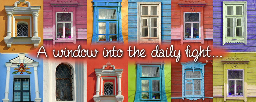 A Window Into The Daily Fight...